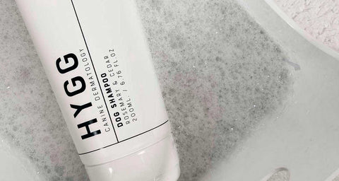 NUEVA COLECCIÓN DE ASEO!