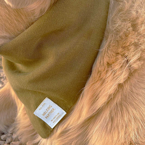 VOLDOG BANDANA Bandana verde bronceada