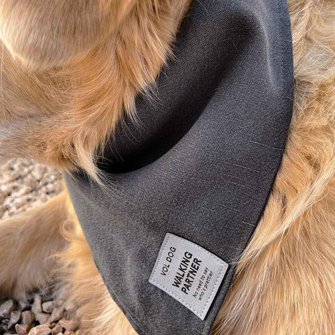 VOLDOG Bandana Foggy Azul Oscuro Bandana