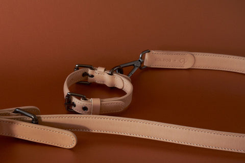 VOLDOG collar Collar Naked CoLAB