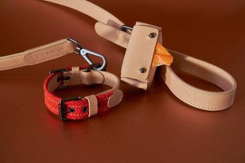 VOLDOG collar Edición especial Raf Simons CoLAB