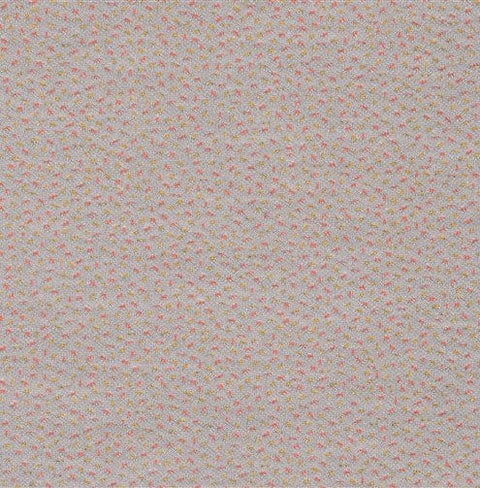 Collares Voldog Collar Bru Zilar