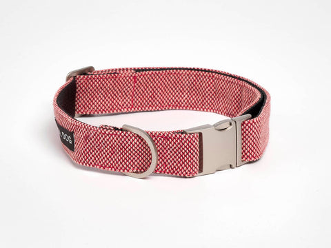 Collares Voldog S (25-35cm) Collar Scott Escarlata