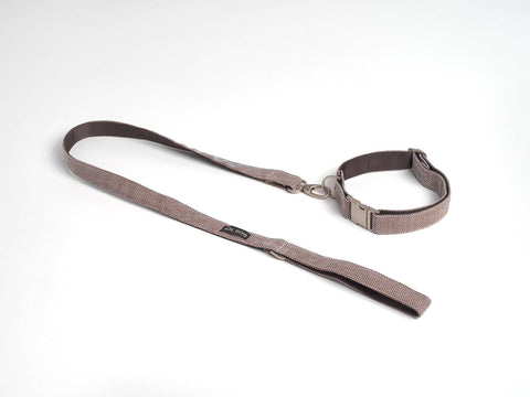 Collares Voldog Collar Scott Castaño