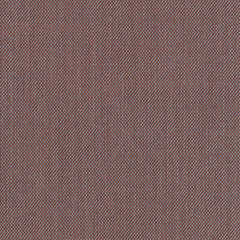 Collares Voldog Collar Scott Castaño