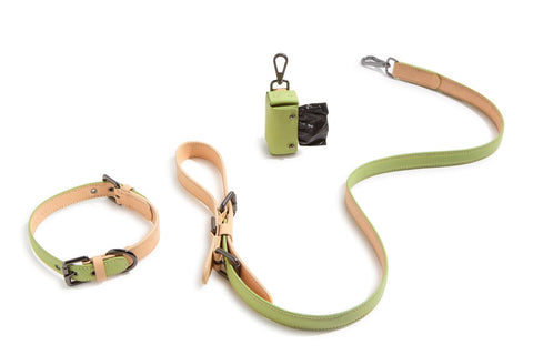 VOLDOG correa Leash Matcha CoLAB