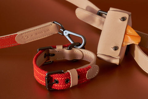 VOLDOG leash Leash Edición Especial Raf Simons CoLAB