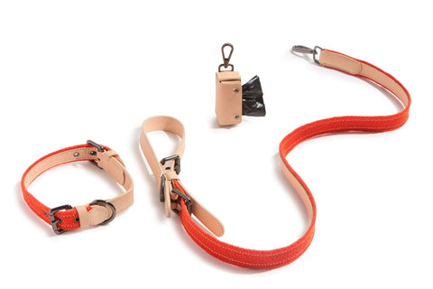 VOLDOG leash Leash Edición Especial Raf Simons CoLAB