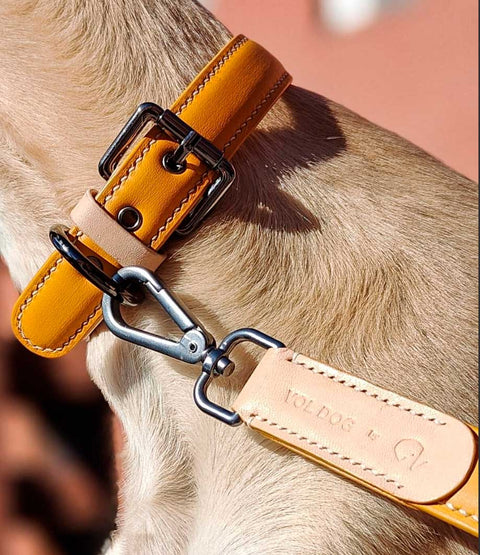 VOLDOG Collar de cuero Mostaza CoLAB