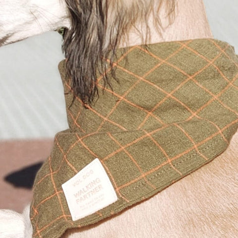 VOLDOG Calabaza Biscuit Bandana