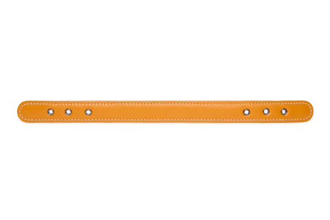 VOLDOG Color Strap S / Mustard Colors Strap CoLAB