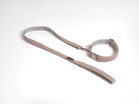 Voldog Correas Bru Zilar Leash