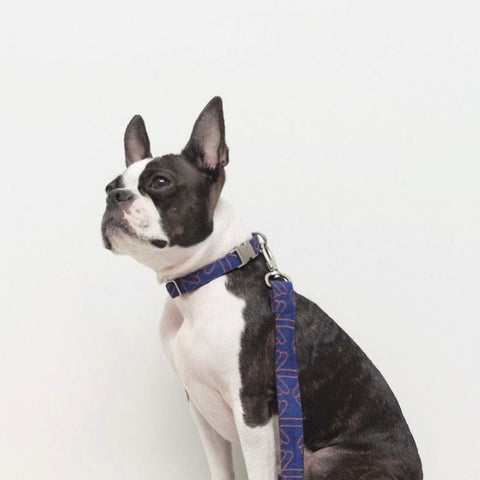 Voldog Correas Fits all sizes Lola Klein Leash