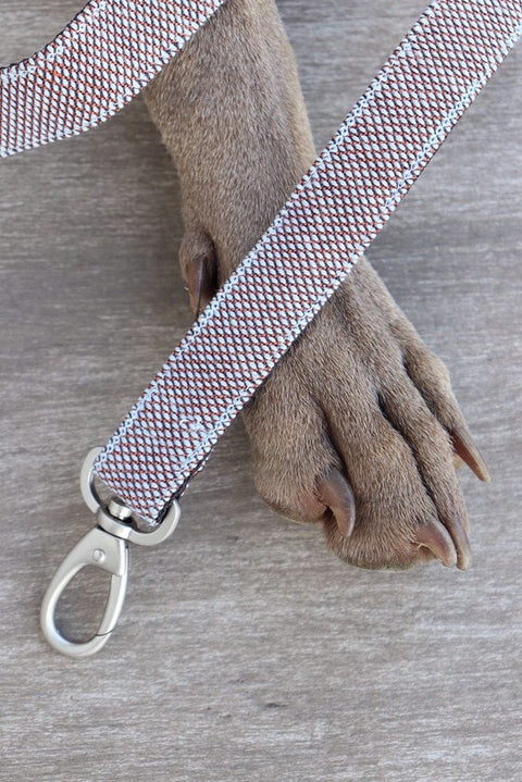Voldog Correas Fits all sizes Scott Castaño Leash