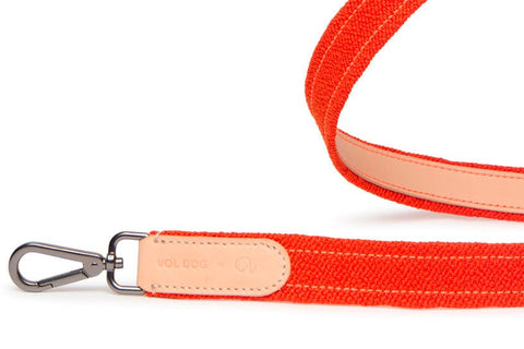 VOLDOG leash Leash Special Edition Raf Simons CoLAB