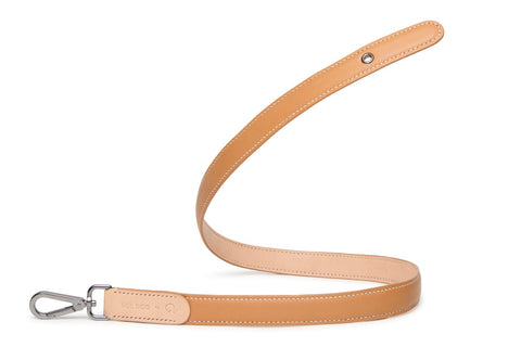 VOLDOG Leather collar Caramel Colors Strap Leash CoLAB
