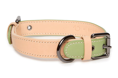 VOLDOG Leather collar Collar Matcha CoLAB