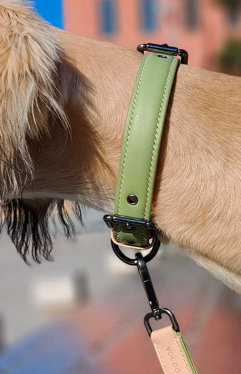 VOLDOG Leather collar Collar Matcha CoLAB