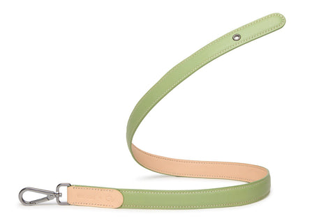 VOLDOG Leather collar Matcha Colors Strap Leash CoLAB