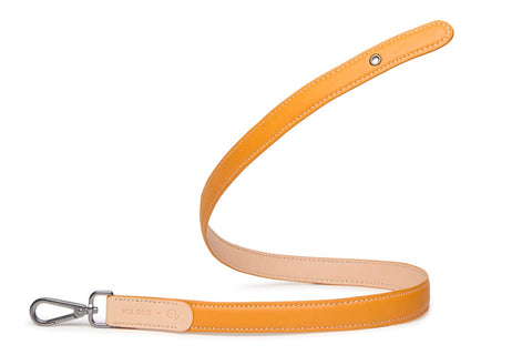 VOLDOG Leather collar Mustard Colors Strap Leash CoLAB
