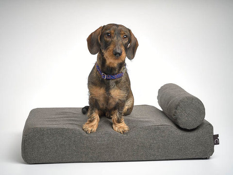 Voldog Mobiliario Anthracite Gray / S(70x50cm) Round Bed