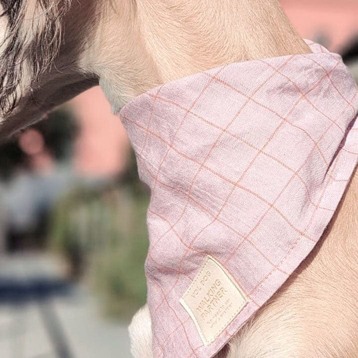 Barbour dog best sale bandana pink