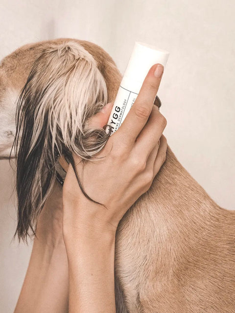 VOLDOG Shampoo Dog Fragrance Fur Fix HYGG